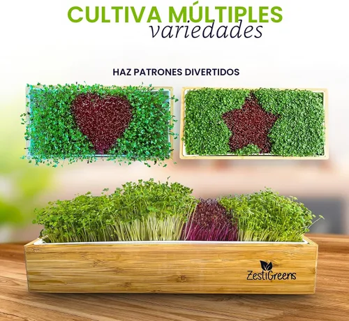 Miniatura 6 de Kit de cultivo de microgreens de riego automático, la forma más fácil de cultivar microverduras frescas en casa. Incluye bandeja reutilizable