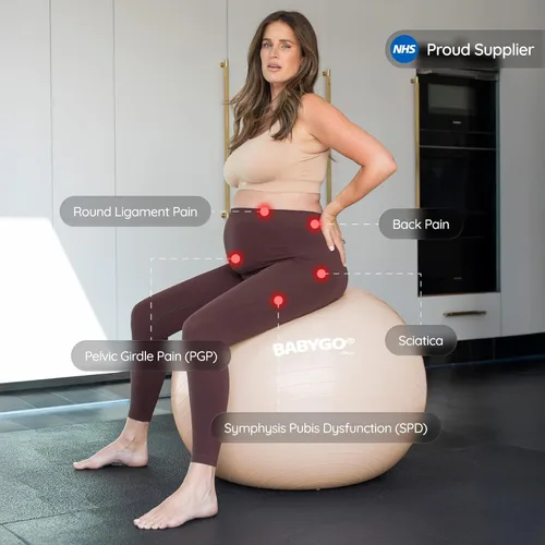 Miniatura 3 de BABYGO Pelota de Parto – Juego de pelota y libro de yoga para embarazo, trabajo de parto y ejercicio con enfoque en trimestres, fisioterapia