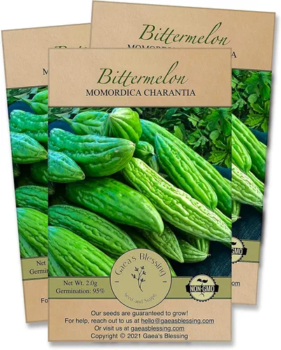 Miniatura 8 de Gaea's Blessing Semillas – Semillas de melón amargo – Semillas de calabaza amarga herencia de melón amargo sin OMG con instrucciones de siembra