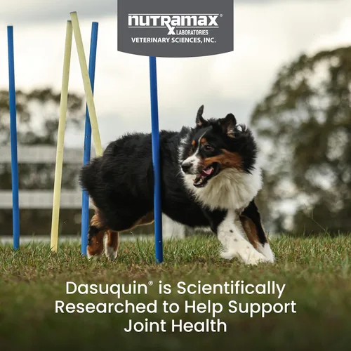 Miniatura 2 de Nutramax Dasuquin para perros grandes, suplemento de salud articular, contiene glucosamina para perros, además de condroitina, ASU, MSM y más, apoya