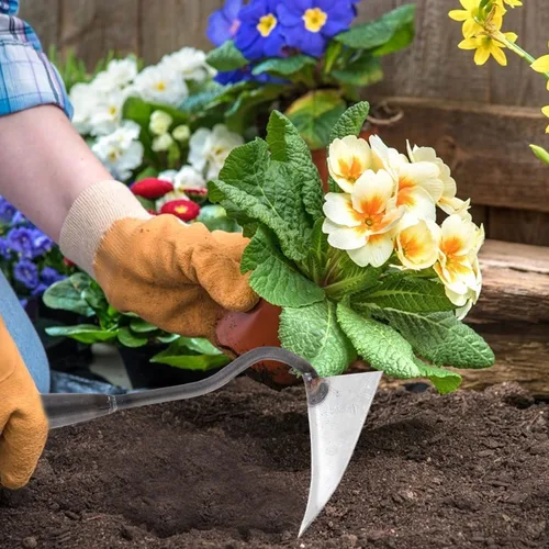 Miniatura 9 de DOITOOL Cultivador manual de jardín triangular de 12.4 pulgadas con cabeza de hierro resistente para excavación de suelo, deshierbe y abono