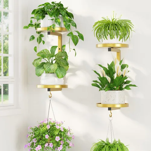 Miniatura 13 de LASZOLA 2 piezas de estantes de pared para plantas con ganchos para macetas de interior, soportes flotantes de ventana de metal resistente para Negro