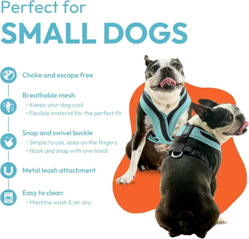 Miniatura 2 de Gooby Comfort X One Arnés para Perro - Arnés para perro que se pone por la cabeza para perros pequeños y medianos - Sin escape y sin ahogo - Malla