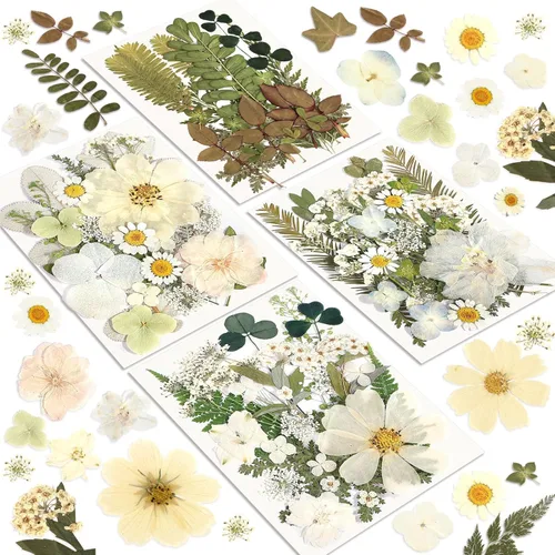 Miniatura 16 de Flores Secas, Resiners 58 Piezas Flores Prensadas para Manualidades Rosa Flores Secas Naturales Reales Kit de Hojas Secas para DIY Hacer