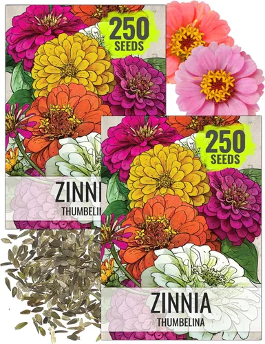 Miniatura 9 de Seed Needs Thumbelina Semillas de zinnia para plantar, flores anuales de corte enano de polinización abierta, cultiva un jardín de mariposas