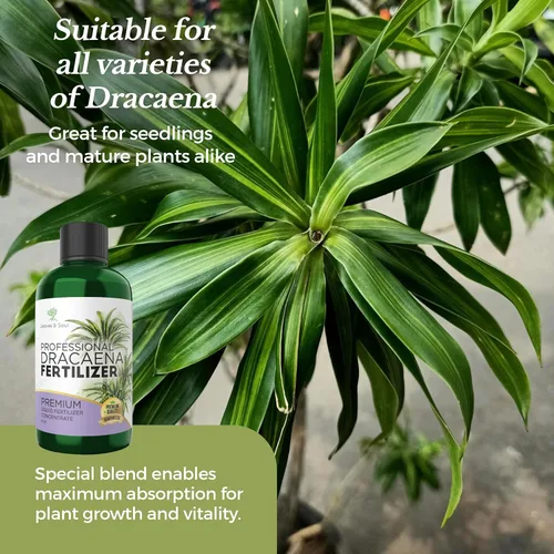Miniatura 5 de Dracaena profesional fertilizante líquido 3-1-2 concentrado de 8 onzas, alimento líquido prémium para plantas de interior, fertilizante líquido