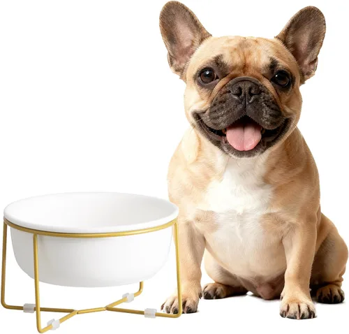 Miniatura 9 de Cuenco elevado elevado de cerámica blanca para gatos y perros, plato elevado para comida para gatos, cuenco de agua para mascotas, cómodo y cómodo