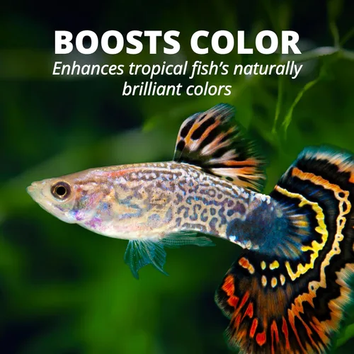Miniatura 10 de Tetra Color Tropical Flakes, alimento para peces que aumentan el color, dieta nutricionalmente equilibrada para peces tropicales, 2.2 libras