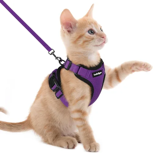 Miniatura 86 de rabbitgoo Juego de arnés y correa para gatos, arnés a prueba de escapes para paseos seguros al aire libre, chaleco suave transpirable ajustable