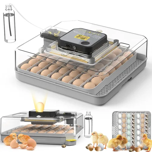 Incubadoras para incubar huevos Incubadora de 48 huevos con giro automático y control de humedad para pollo, vela de huevo para huevos de gallina,