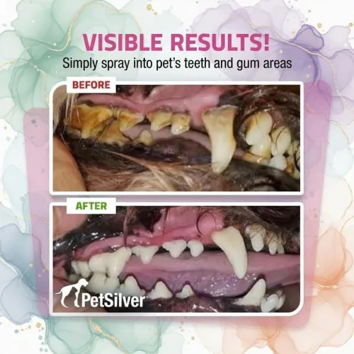 Miniatura 5 de PetSilver Spray de dientes y encías, plata quelatada, ambientador natural para el aliento de perro, limpieza dental para gatos y perros sin