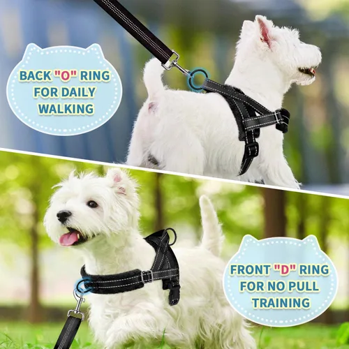 Miniatura 4 de SlowTon - Juego de arnés y correa para perros pequeños sin tirones, chaleco suave ajustable para cachorros para el cuello y el pecho, arnés