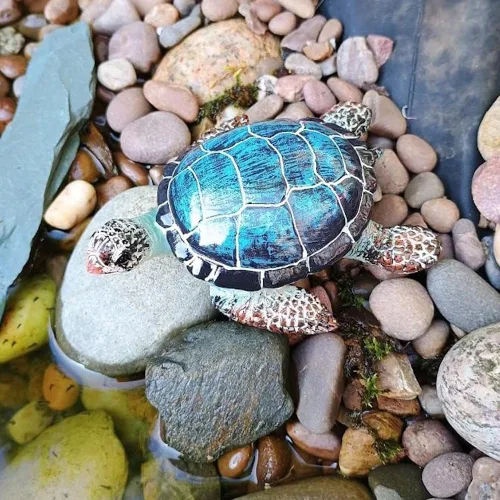 Miniatura 5 de Figura de tortuga pequeña de estrella morada, decoración de tortugas marinas, estatua de resina, azul Garden Coastal Beach Shelf Lawn Decor