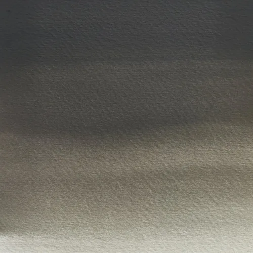 Miniatura 358 de Winsor & Newton - Pintura para acuarela profesional Tinte neutro