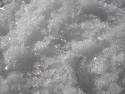 Sal marina gruesa de Trapani siciliana (venta marino) de la colección Salts of the Earth de Merchant Spice Co. (limón siciliano, 1 onza)