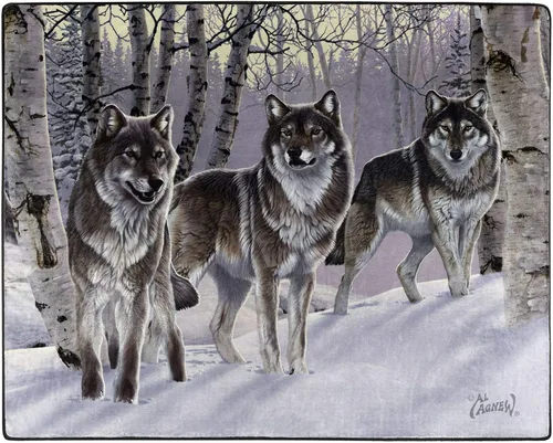 The Northwest Company Heartland - Manta de peluche con diseño de historia del artista Al Agnew (Wolves) 50 x 60 pulgadas