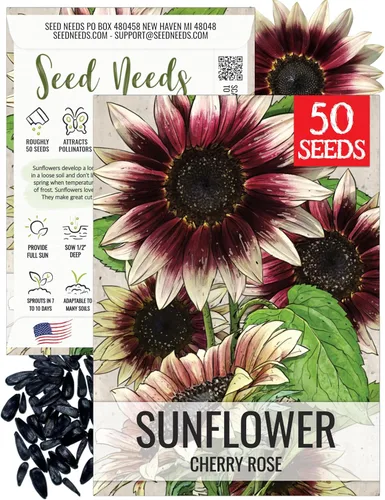 Seed Needs Semillas de girasol para plantar girasoles Cherry Rose – Flores híbridas con bicolores únicos para un jardín de flores al aire libre –