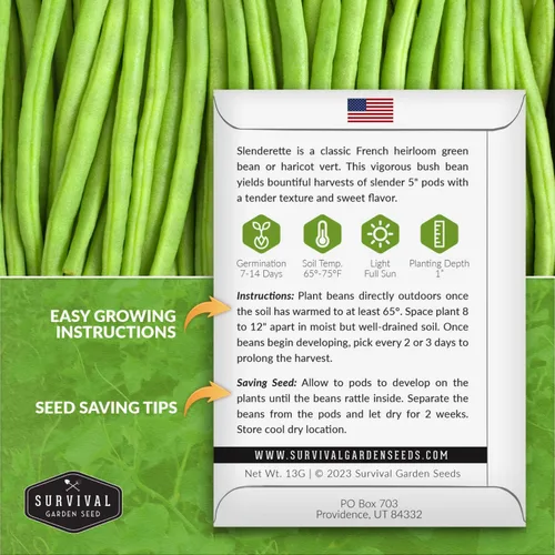 Miniatura 2 de 1 paquete de semillas de frijol francés Slenderette Bush para plantar con instrucciones para cultivar verts de haricots en tu huerto casero