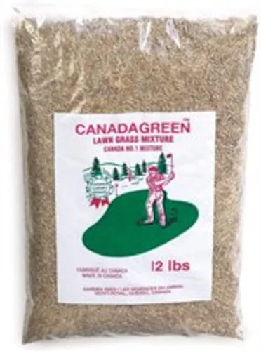 Canada Green Semillas de césped - Crece hierba verde rica y saludable, plantas de semillas de césped, patio, jardín, bolsa de 12 libras