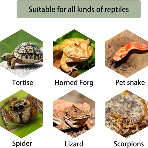 Miniatura 6 de kathson Plataforma para tomar el sol de tortuga, rampa de escalada de tortugas para bebé, esquisto, reptiles, muelle, terraza, piedra, pequeño