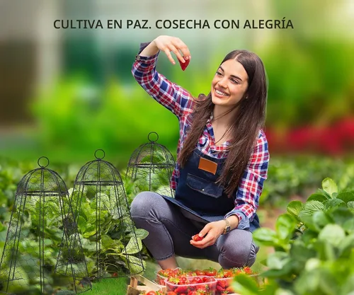Miniatura 6 de boldworks Cloches de Jardín para Plantas, Jaulas de Alambre de Pollo para Proteger de Animales al Aire Libre, Extra Grandes, Resistente a