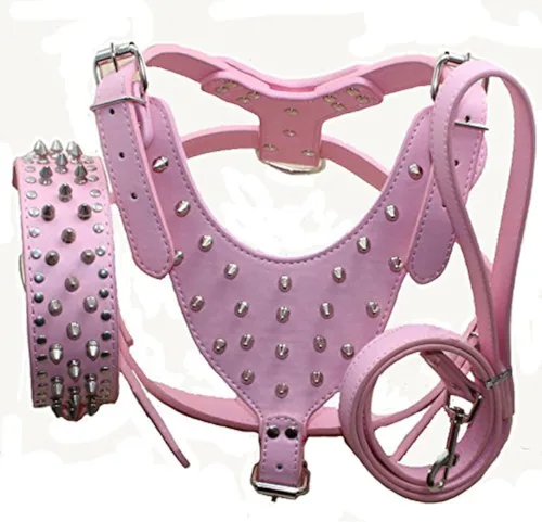 Miniatura 3 de Juego de 3 collares, arneses y correas de cuero con tachuelas para perros medianos y grandes para Pit Bull, Mastín, Boxer, Bull Terrier (negro, M)
