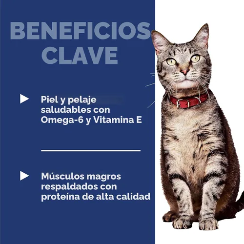 Miniatura 4 de Alimento seco para gatos adultos, receta de pollo para un cuidado óptimo de Hill's Science Diet