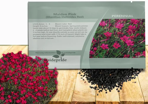 Outsidepride Deltoides Maiden - Semillas de Dianthus rosa para plantar, 5000 unidades, semillas de flores perennes resistentes y fáciles de cultivar