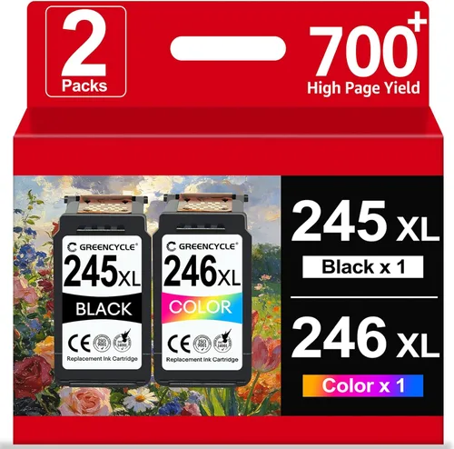 245XL 246XL Cartucho de tinta compatible con Canon PG245 XL CL246 XL Combo Pack para tinta Canon 245 246 trabajo para PIXMA MX490 MX492 MG2522 1 x