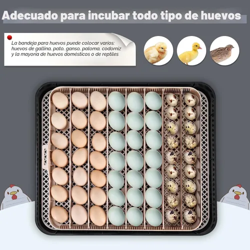 Miniatura 7 de Sailnovo Incubadora de 56 huevos para incubar huevos con giro automático de huevos y humidificación automática, control de temperatura, ovoscopio