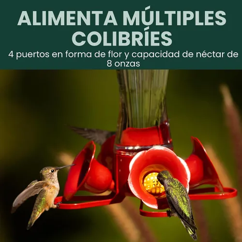 Miniatura 8 de Perky-Pet 203CPBN Comedero de vidrio para colibríes al aire libre con posaderos, foso de hormigas, protectores de abejas - Paquete de 1
