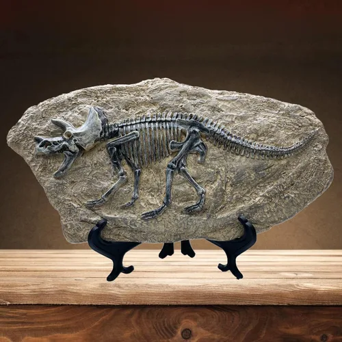 Miniatura 9 de XINDAM Modelo de estatua de fósil de dinosaurio de resina, esqueleto simulado para exhibición en hogar y oficina, caja decorativa de manualidades