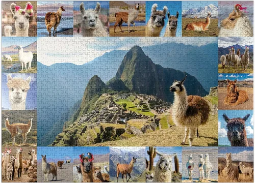 Miniatura 8 de MyPuzzle Llamas and Alpacas - Collage - Rompecabezas prémium de 100 piezas para adultos