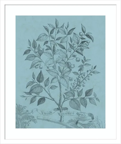 Miniatura 20 de Amanti Art Vision Studio - Póster enmarcado de 24 x 20 pulgadas, diseño botánico en V verde azulado por Vision Studio, arte de pared de naturaleza