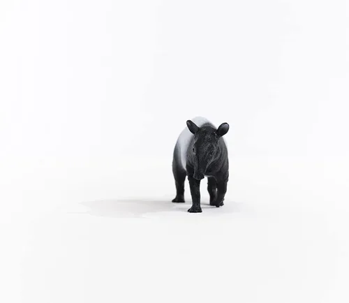Miniatura 4 de Schleich Wild Life, juguetes realistas de animales salvajes para niños a partir de 3 años, figura de juguete tapir