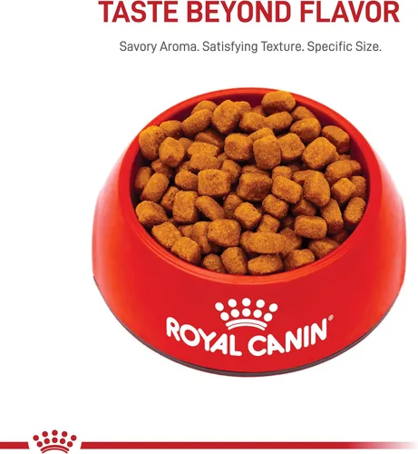 Miniatura 10 de Royal Canin Feline Care Nutrition Dental Care Alimento seco para gatos adultos, bolsa de 3 libras