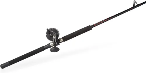 Miniatura 2 de Penn Warfare Level Wind Fishing Rod and Reel Conventional Combo