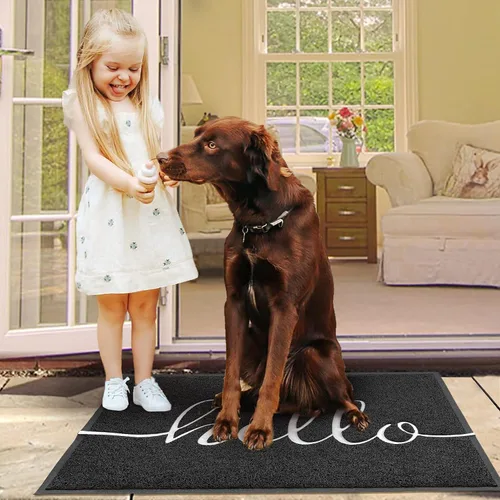Miniatura 6 de EARTHALL Tapete con la frase Hello, 36 x 24 pulgadas, duradero, antideslizante, absorbente de lodo, fácil de limpiar para puerta/garaje/entrada Hola