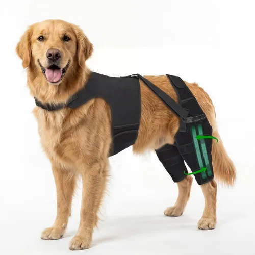 Miniatura 8 de Rodillera para perro para pierna trasera desgarrada, ajustable para pierna trasera con 5 estabilizadores, reduce el dolor, lesiones de ligamentos