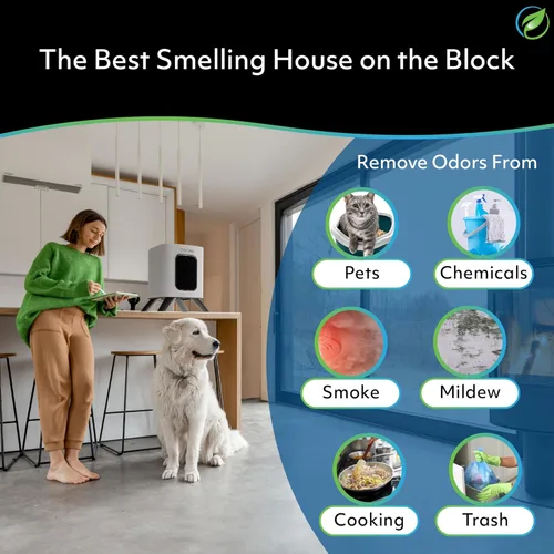 Miniatura 4 de Purificador de aire Air Oasis iAdaptAir 2.0 con filtro HEPA H13 reduce el 99% de virus, moho, polvo, humo, polen y olores, el más silencioso
