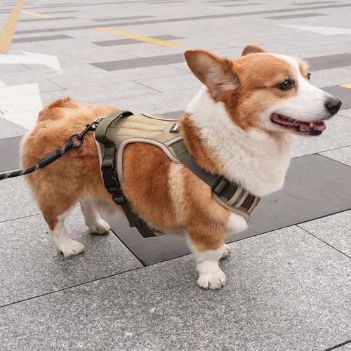 Miniatura 7 de Arnés para perro pequeño, arnés reflectante resistente táctico sin tirones y collar - seguro, sin estrangulamiento, chaleco para mascotas fácil