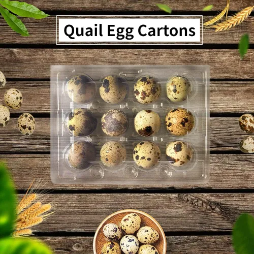 Miniatura 7 de 50 cajas de huevos de codorniz, 12 rejillas de almacenamiento de huevos pequeños, bandejas de cartón a granel para huevos pequeños, codorniz