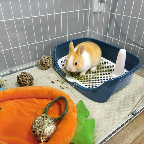 Miniatura 2 de Tfwadmx Caja de arena para conejillos de indias, bandeja de esquina rectangular para inodoro de animales pequeños, para hurón, chinchilla