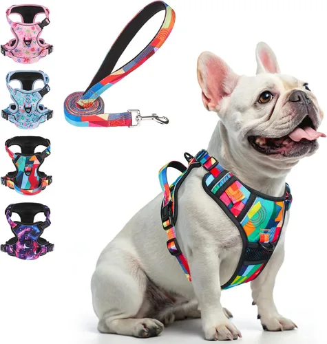 Miniatura 13 de BEAUTYZOO Arnés para perro sin tirones pequeño, juego de arnés y correa ajustable para perro - Fácil de usar con 3 hebillas/mango de control, arnés