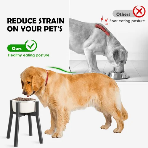 Miniatura 2 de Soporte Ajustable Elevado para Cuenco de Perros de 7-10.6" de Diámetro para Comida y Agua - Comedero Elevado de 11" de Altura para Mejorar