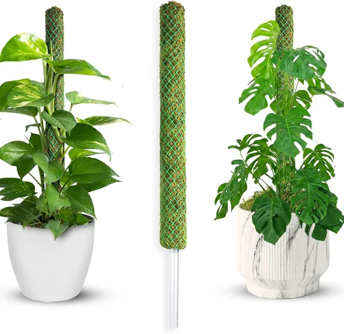 Miniatura 12 de DUSPRO Postes de musgo de malla plana para plantas trepadoras, Monstera, poste de musgo apilable para plantas con musgo real, poste para plantas