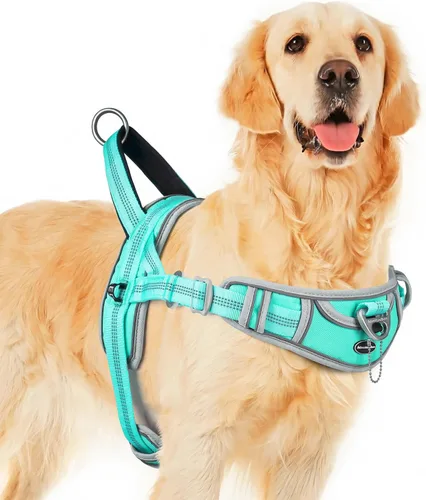 Miniatura 8 de ADVENTUREMORE Arnés para perros grandes, antitirones, arnés deportivo para perro, reflectante, transpirable, chaleco para perro, a prueba de Al