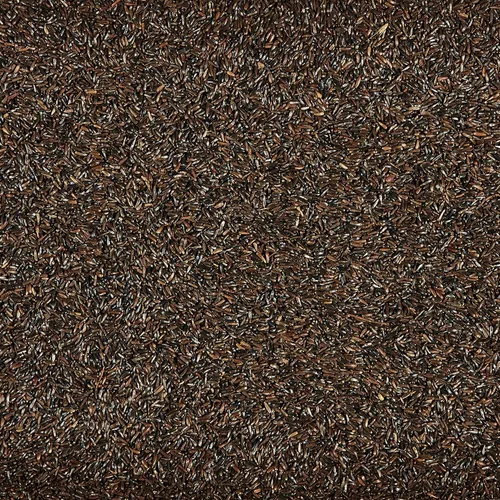 Miniatura 4 de Kaytee Nyjer - Semilla de comida para pájaros silvestres, 3 libras