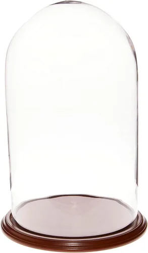 Miniatura 3 de Plymor 11.75" x 20" Pantalla de cristal Dome Cloche (base de nogal)
