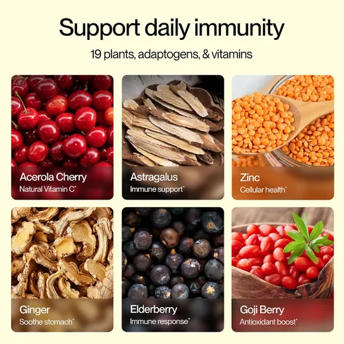 Miniatura 6 de Feel Goods Immunity+, apoyo inmunológico, hierbas orgánicas, 500 mg de vitamina C, paquetes de polvo cero azúcar, antioxidantes, zinc